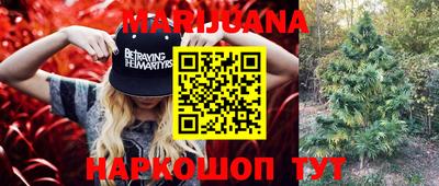 сатива Аша